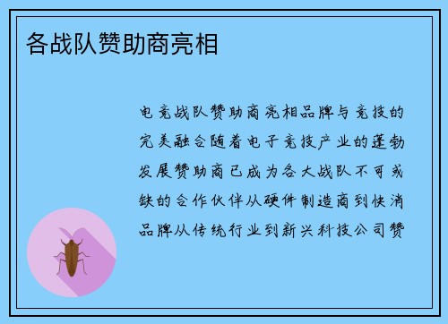 各战队赞助商亮相